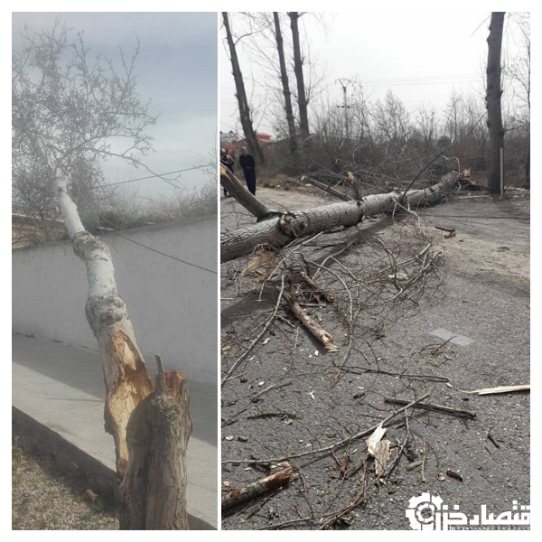 خسارت ۲۰ میلیارد ریالی طوفان و تند باد به شبکه های توزیع برق استان گیلان
