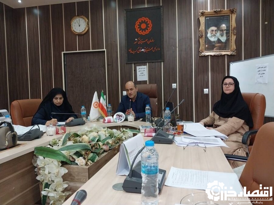 اولین جلسه کارگروه قانون حمایت از حقوق افراد دارای معلولیت برگزار گردید