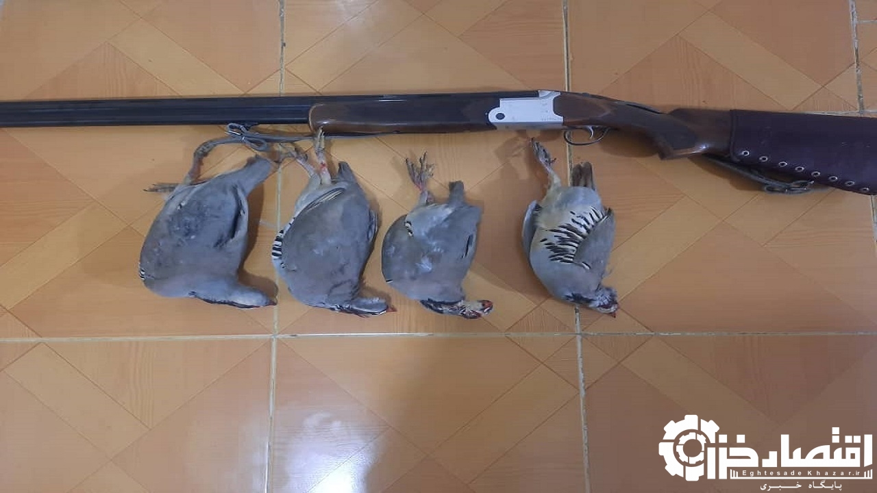 دستگیری شکارچیان غیرمجاز به همراه ۴ قطعه کبک در رودبار