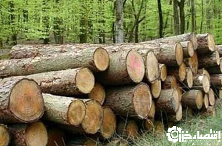 یک هزار و ۲۸۱ قاچاقچی چوب امسال در گیلان دستگیر شدند