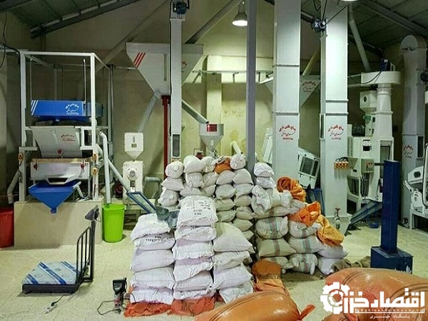 مدرن سازی ۴۰۷ واحد شالیکوبی در گیلان مدرن سازی ۴۰۷ واحد شالیکوبی در گیلان