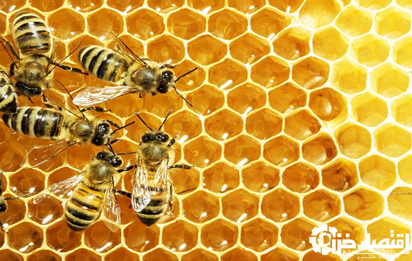 جهش فرآورده‌های جانبی عسل در گیلان