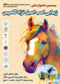 جشنواره ملی زیبایی اسب کاسپین در گیلان برگزار می شود