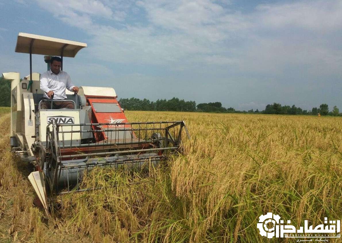 تعرفه جدید برداشت مکانیزه برنج در گیلان تعیین شد