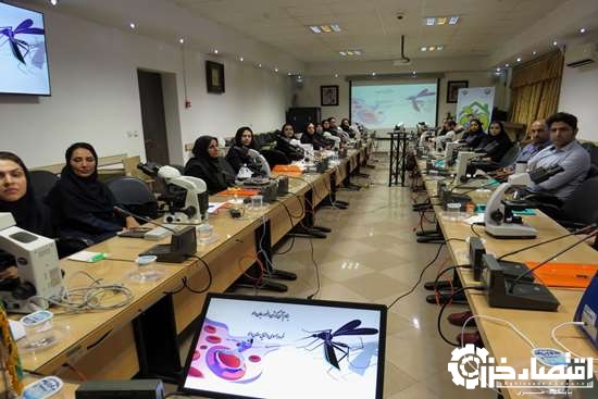 کارگاه سه روزه بازآموزی تشخیص میکروسکوپی میکروسکوپیست‌های مالاریا