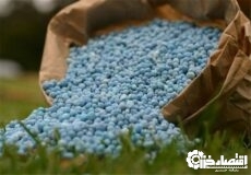 افزون بر ۲۰ هزار تن کودکشاورزی در گیلان توزیع شد