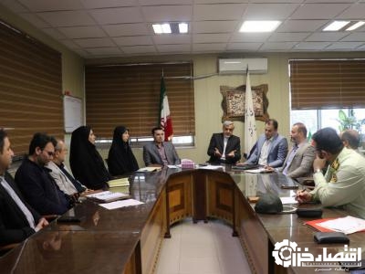 جمعیت سگ‌های ولگرد نیازمند کنترل فوری است