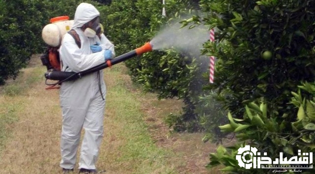 آغاز مبارزه با آفات باغ‌های مرکبات گیلان