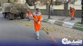 طرح ویژه هرس و پایش درختان رشت برای جلوگیری از حوادث جوی