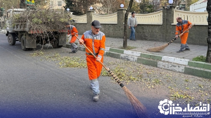 طرح ویژه هرس و پایش درختان رشت برای جلوگیری از حوادث جوی