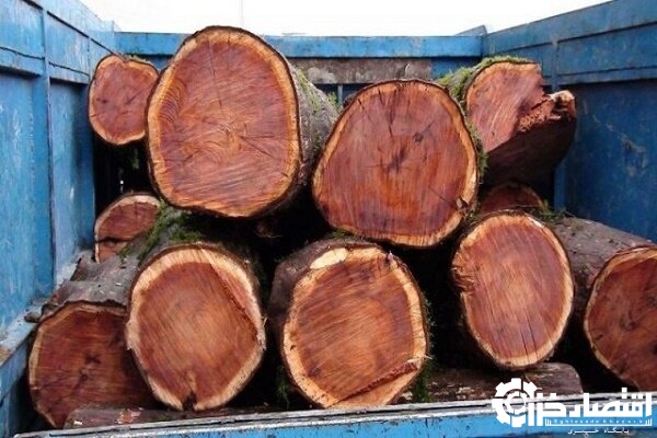 کشف و ضبط ۱۱۰ اصله چوب آلات جنگلی قاچاق