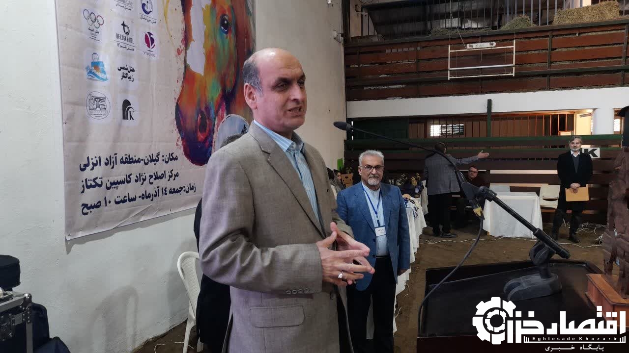 اسب کاسپین میتواند برند بینالمللی گیلان شود