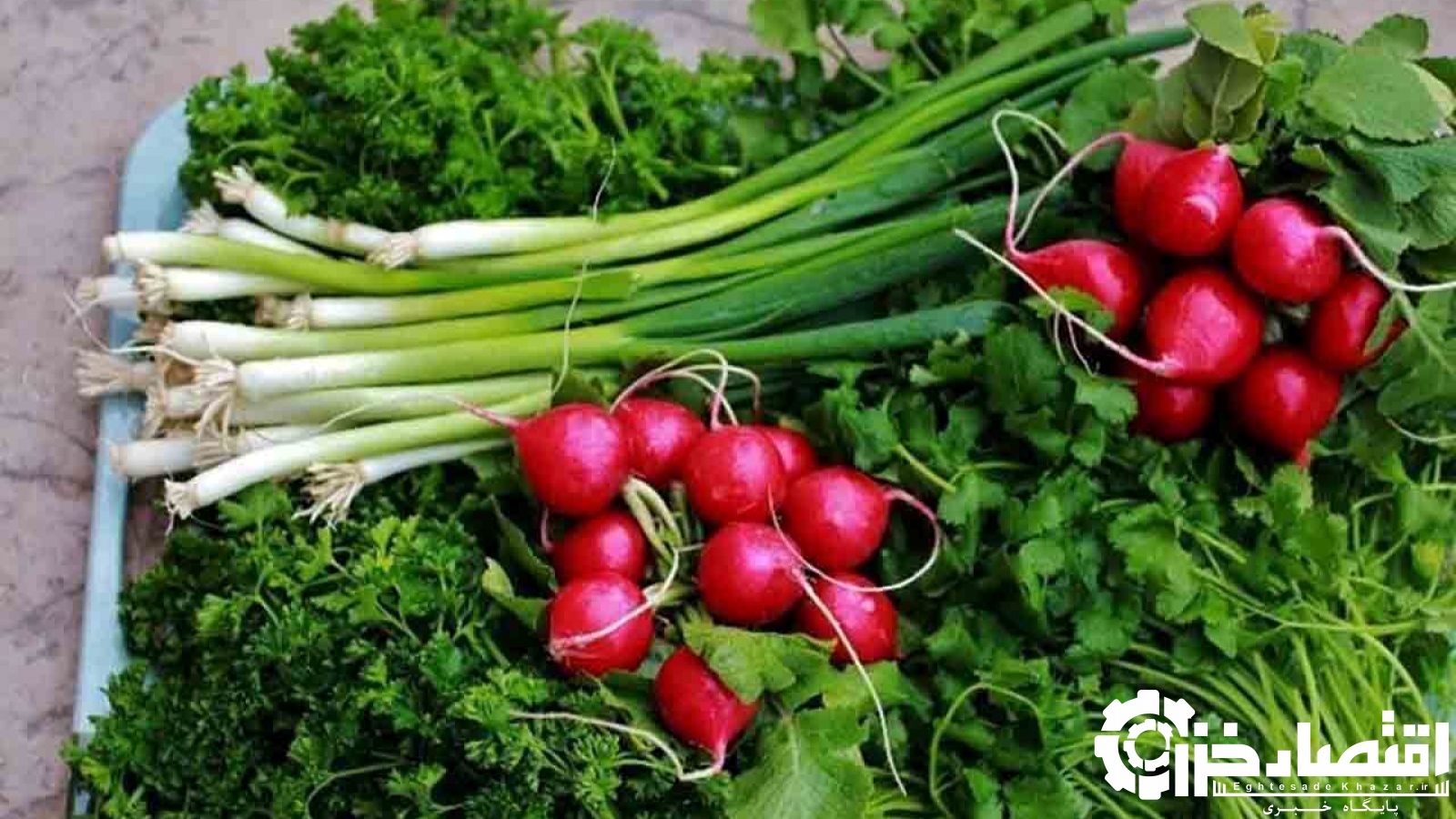 درآمد ۱۶ هزار میلیارد تومانی کشاورزان گیلانی از کشت دوم