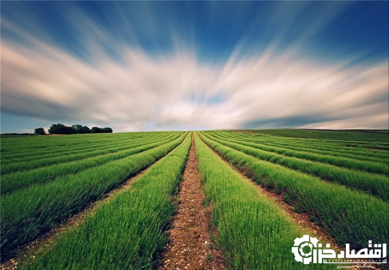 توصیه‌های هواشناسی کشاورزی