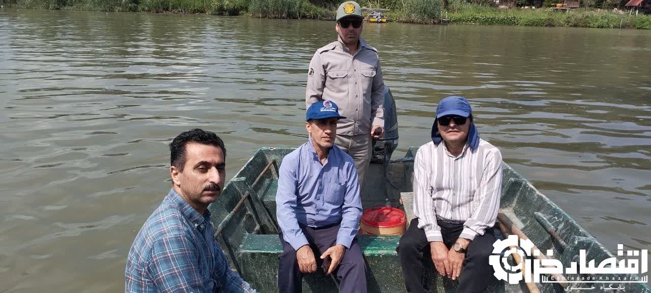 بررسی راهکارهای مبارزه با سنبل آبی و مشکلات معیشتی