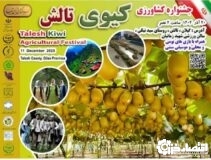 جشنواره شکرانه برداشت کیوی در تالش برگزار میشود