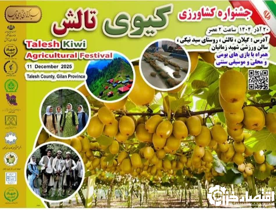 جشنواره شکرانه برداشت کیوی در تالش برگزار میشود جشنواره شکرانه برداشت کیوی در تالش برگزار میشود