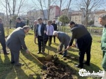 ۱۰ هزار اصله درخت بومی برای نخستین بار در سطح رشت غرس می شود